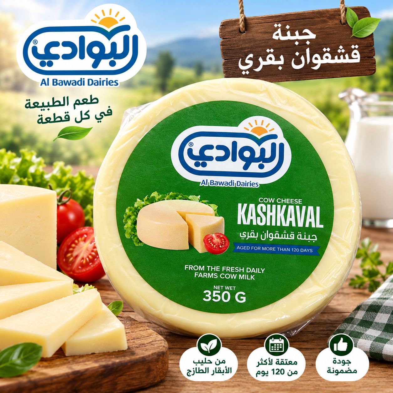 جبنة قشقوان البوادى 350 غ