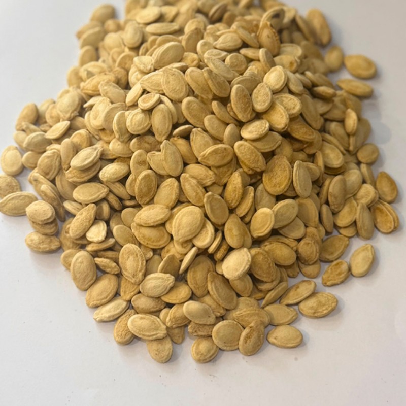 بزر مصري محمص مالح