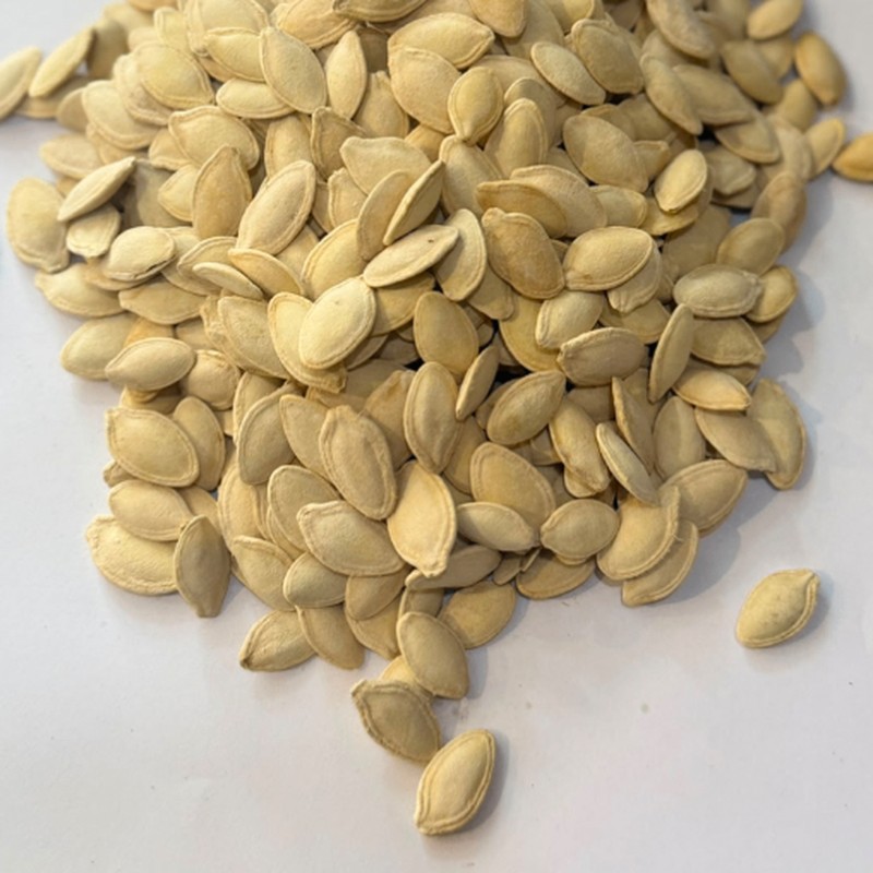بزر كوسا محمص مالح