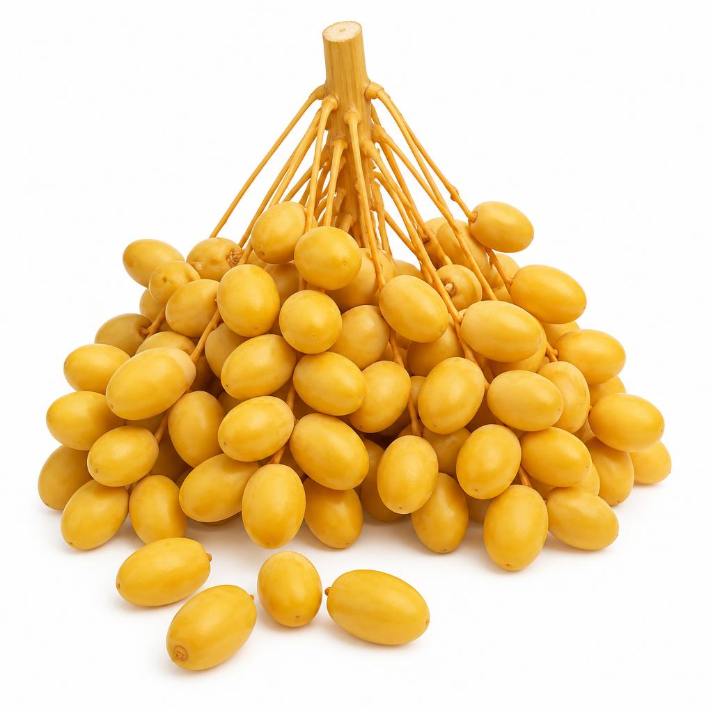 بلح اصفر