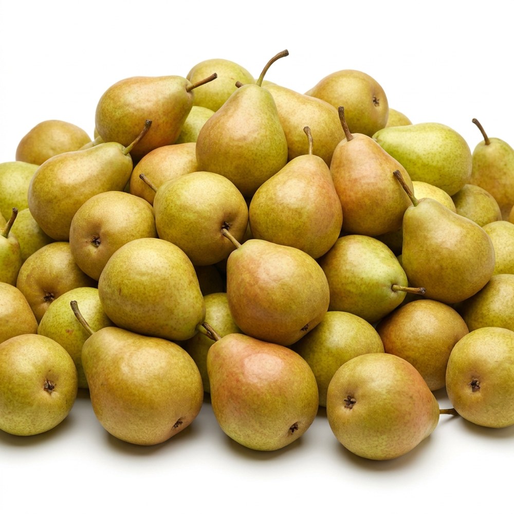 انجاص تركى