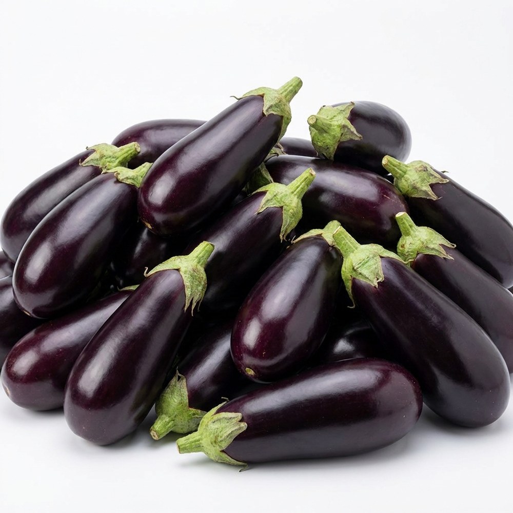 باذنجان هولندي